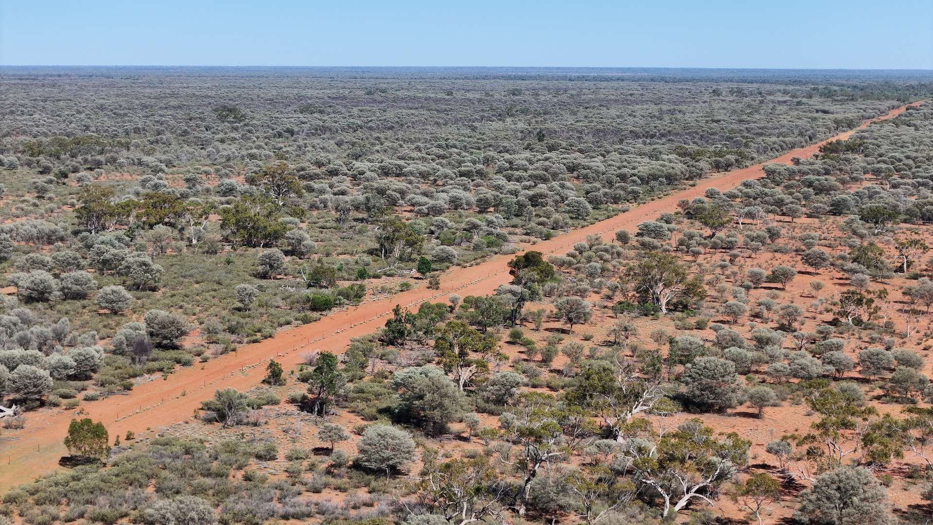 "Belvedere" 2264 Dowling Track, North Bourke For Sale by Farmbuy.com - image 24
