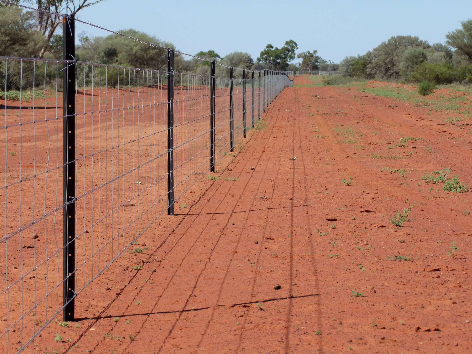 "Belvedere" 2264 Dowling Track, North Bourke For Sale by Farmbuy.com - image 27