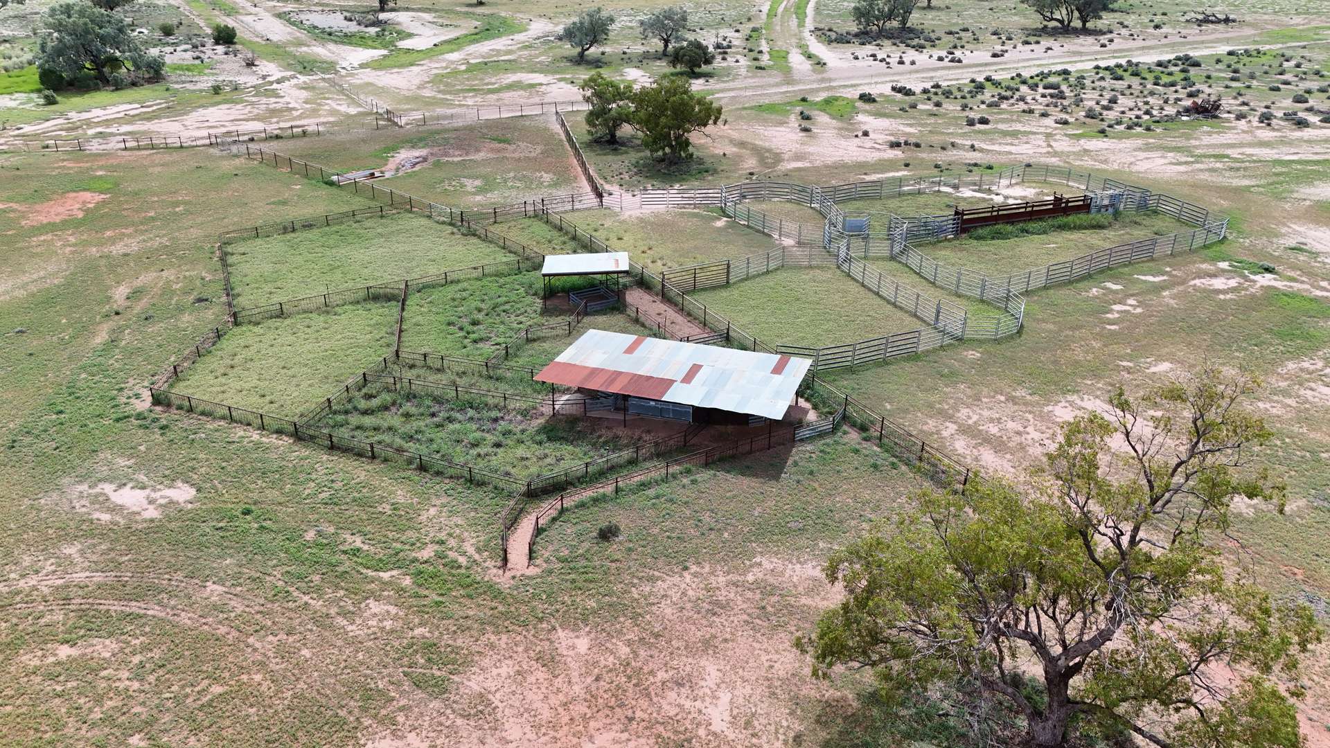 "Belvedere" 2264 Dowling Track, North Bourke For Sale by Farmbuy.com - image 18