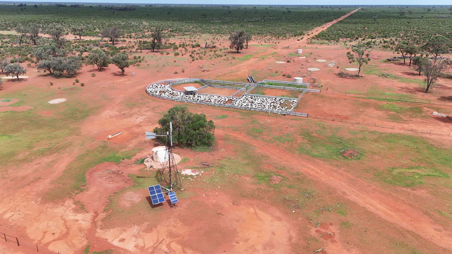 "Belvedere" 2264 Dowling Track, North Bourke For Sale by Farmbuy.com - image 17