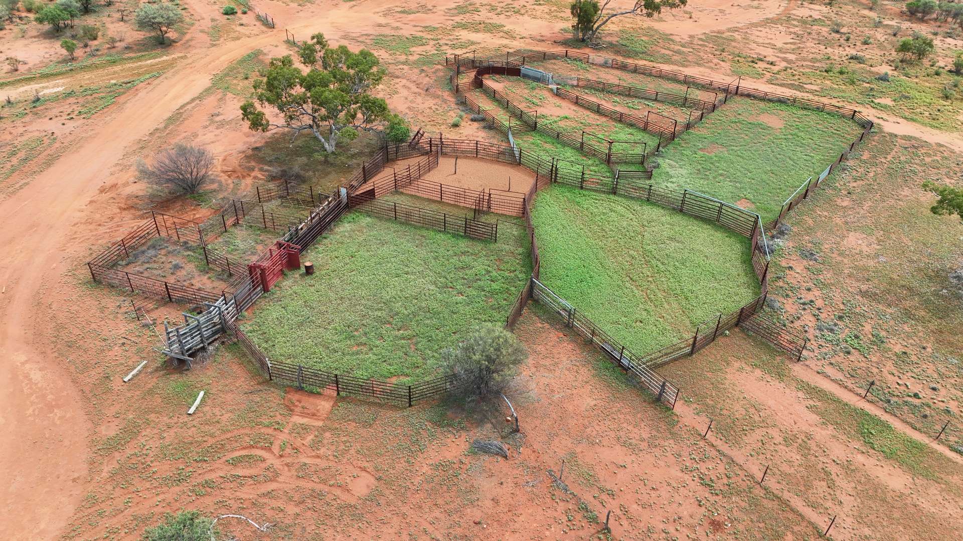 "Belvedere" 2264 Dowling Track, North Bourke For Sale by Farmbuy.com - image 19