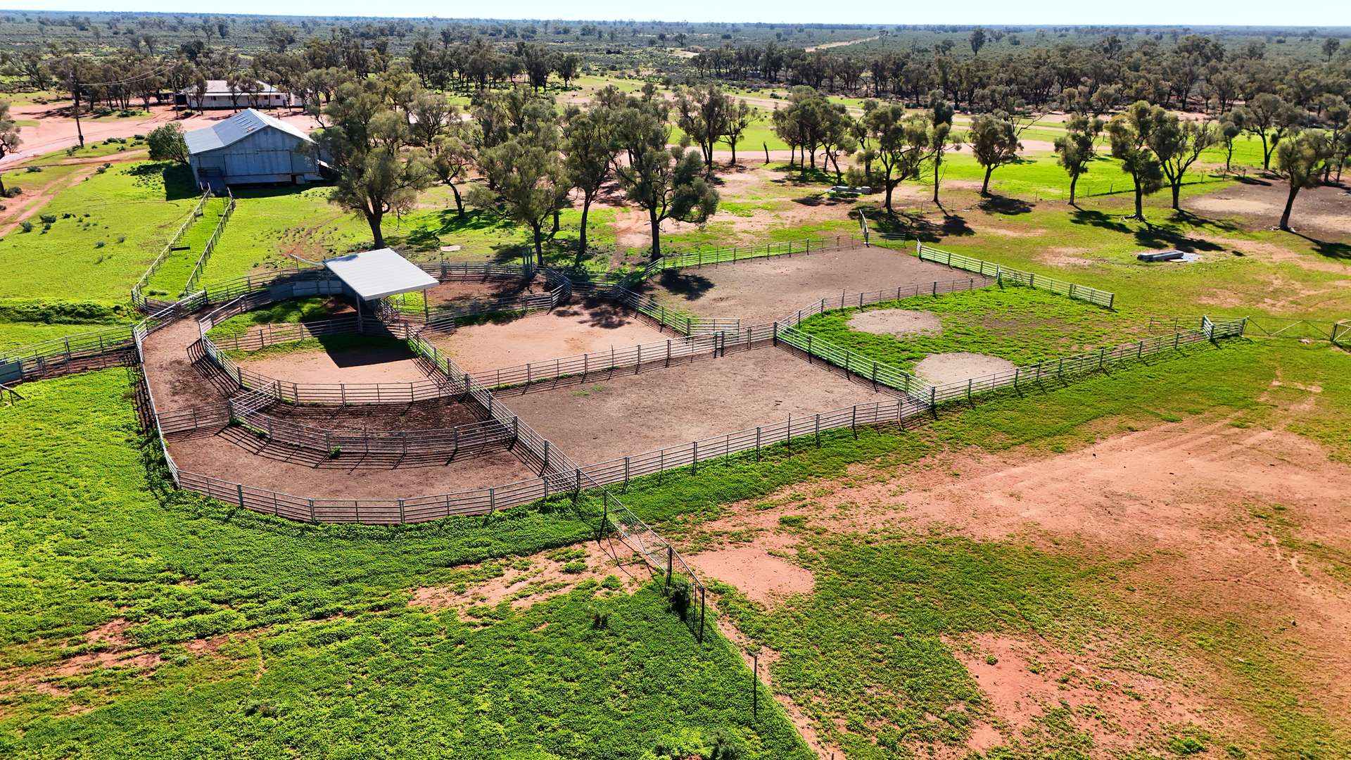 "Belvedere" 2264 Dowling Track, North Bourke For Sale by Farmbuy.com - image 15