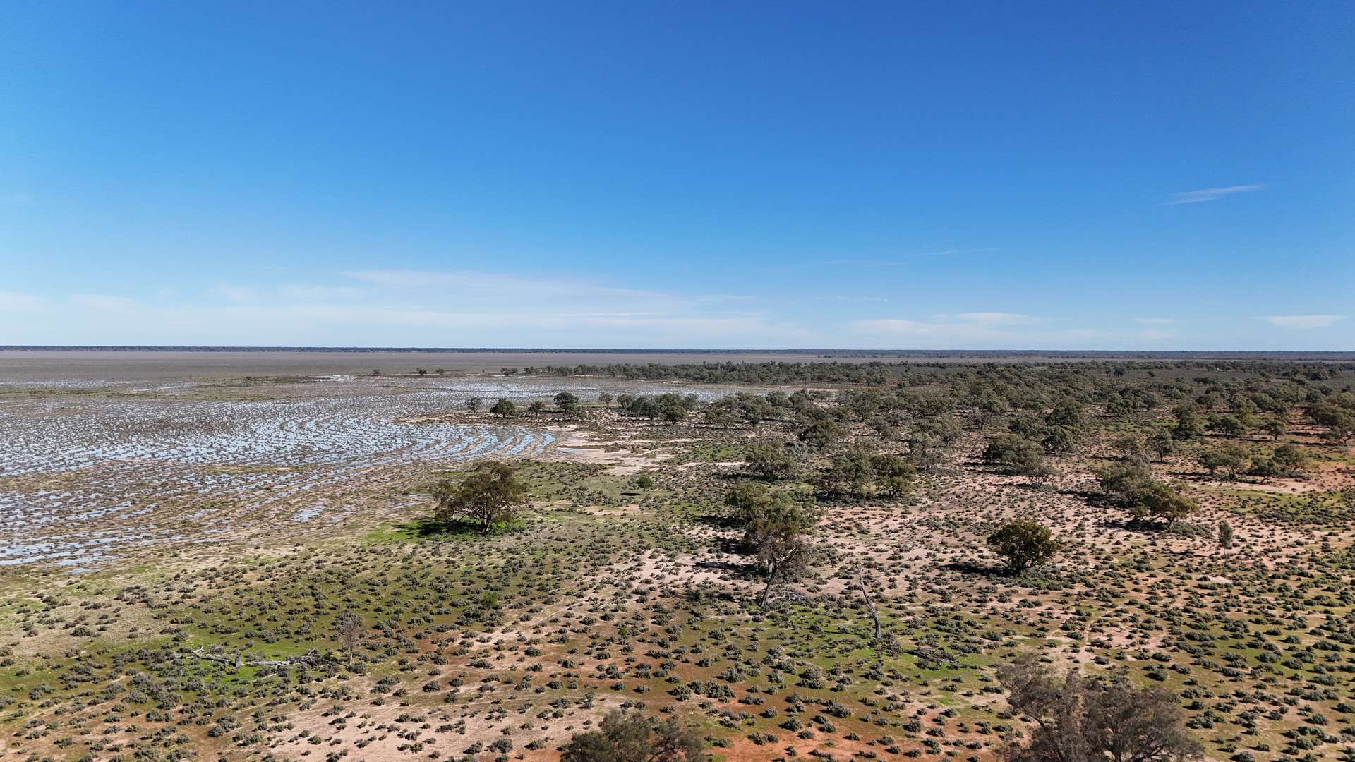 "Belvedere" 2264 Dowling Track, North Bourke For Sale by Farmbuy.com - image 22
