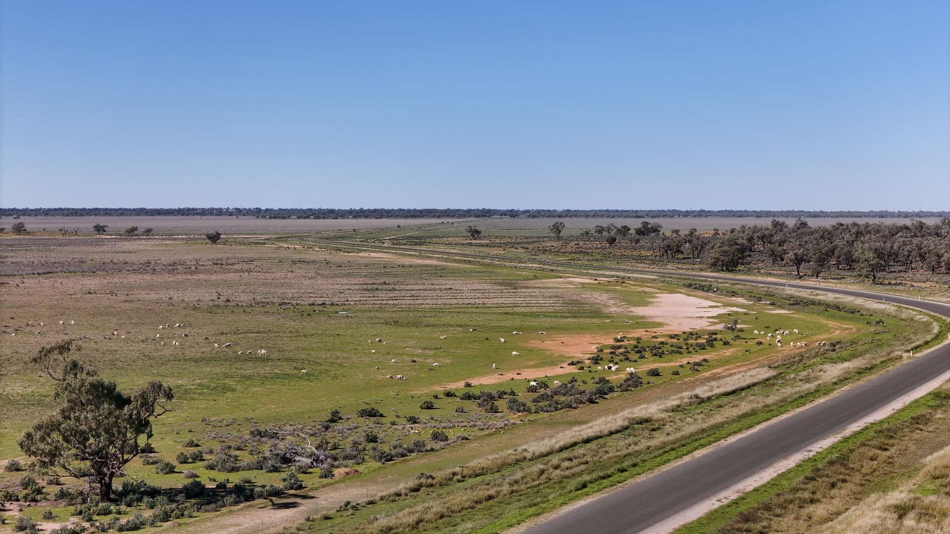 "Belvedere" 2264 Dowling Track, North Bourke For Sale by Farmbuy.com - image 2