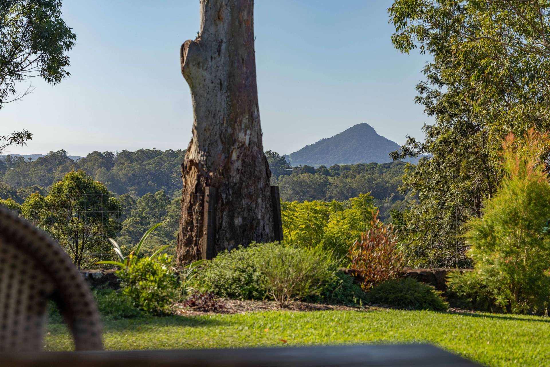 28 Crows Ash Lane, Black Mountain For Sale by Farmbuy.com - image 31