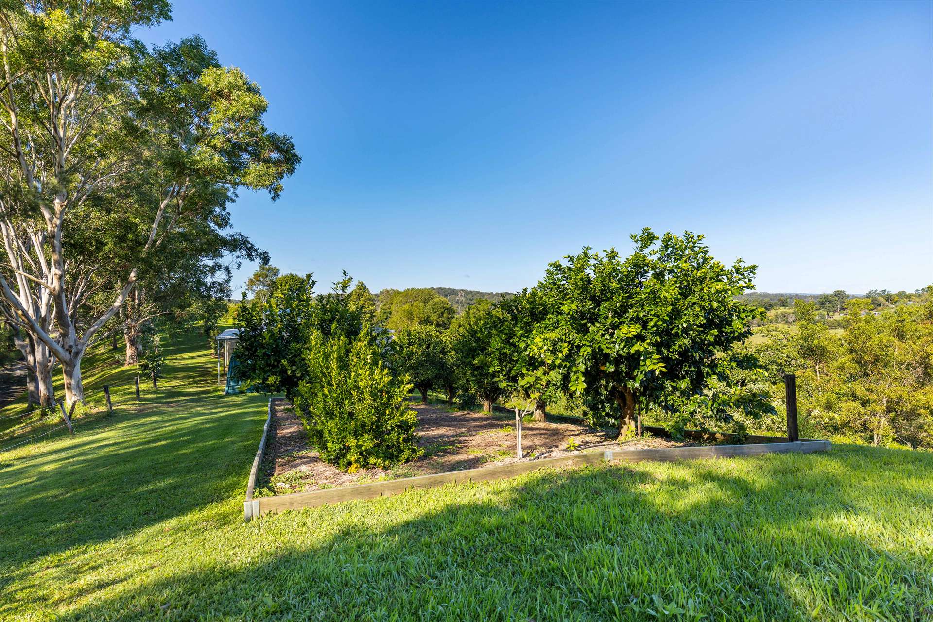 28 Crows Ash Lane, Black Mountain For Sale by Farmbuy.com - image 34
