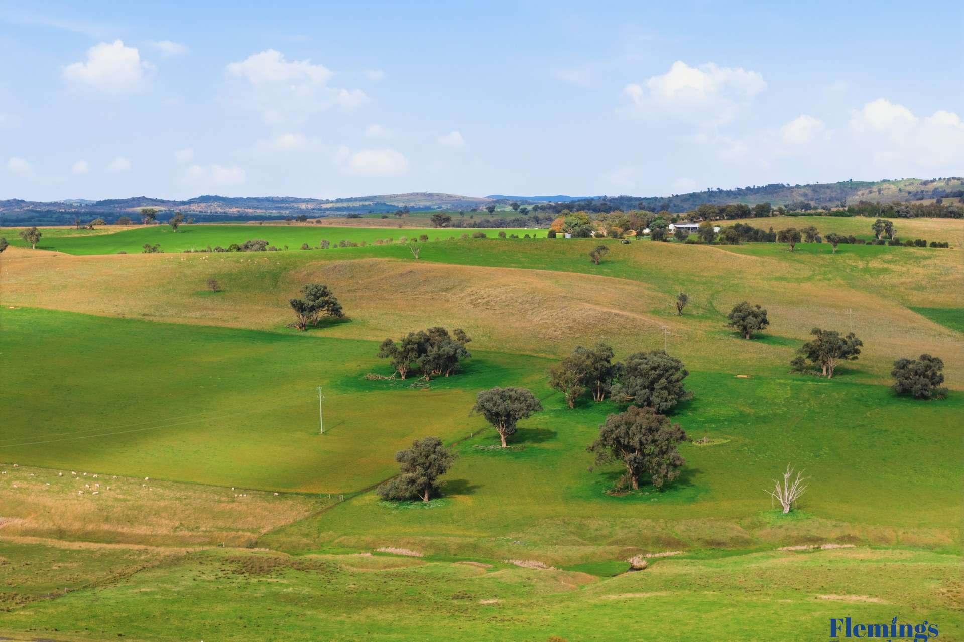 393 Battery Road, Mount Collins For Sale by Farmbuy.com - image 9