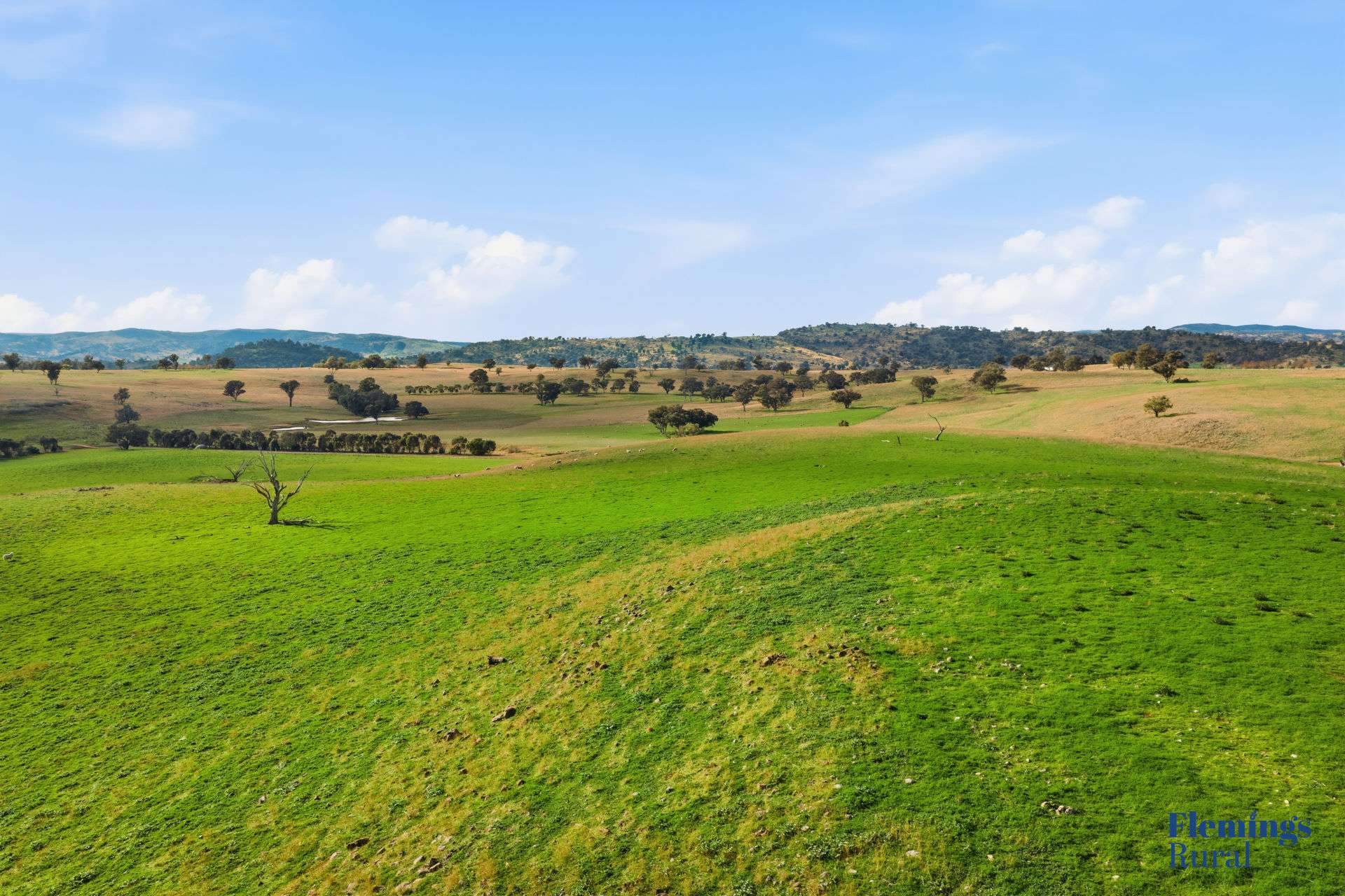 393 Battery Road, Mount Collins For Sale by Farmbuy.com - image 3