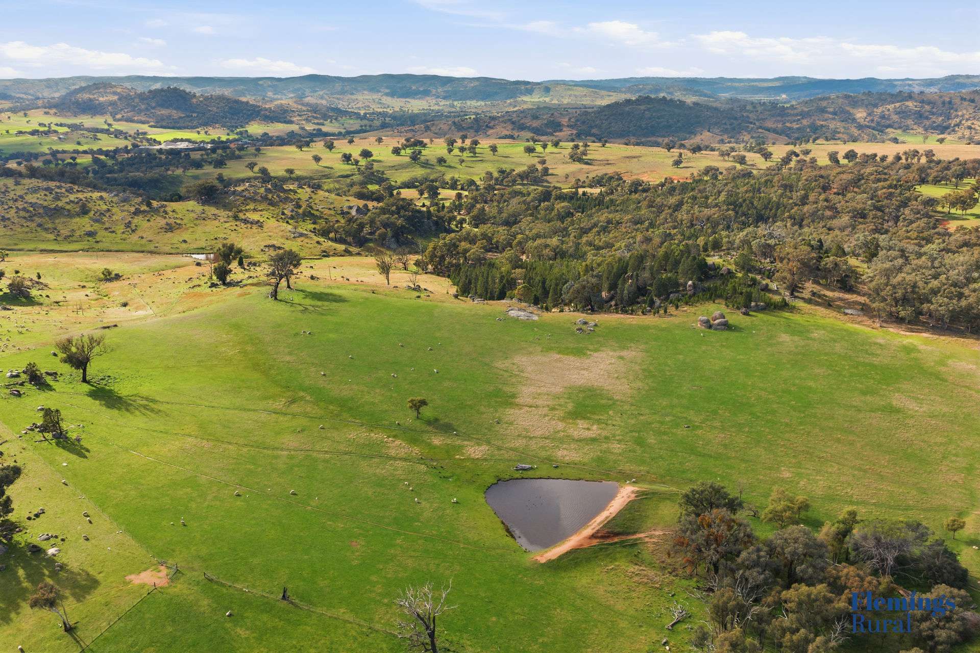 393 Battery Road, Mount Collins For Sale by Farmbuy.com - image 6
