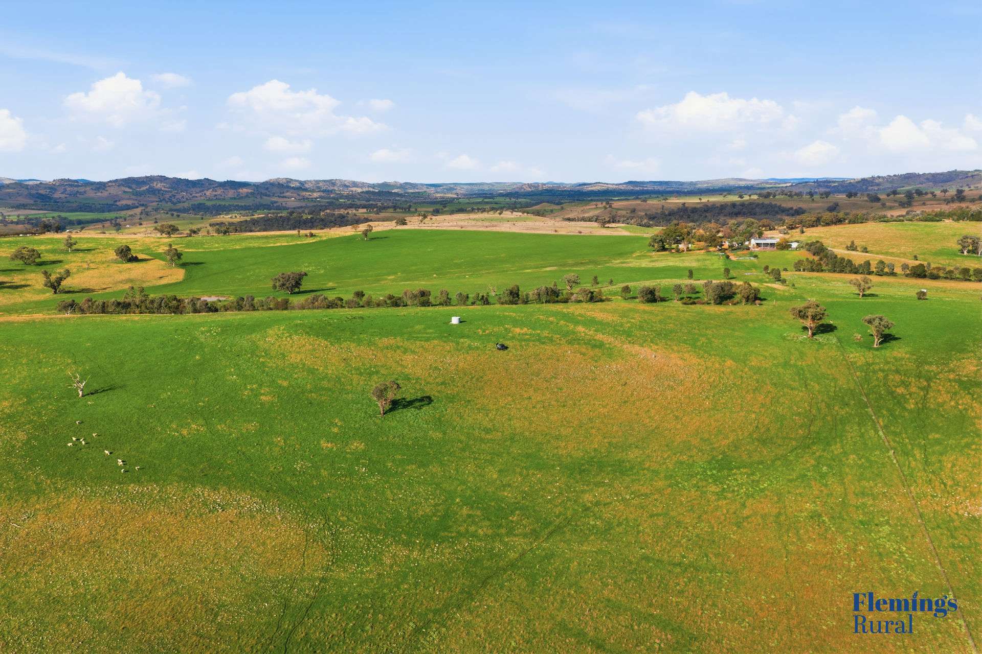 393 Battery Road, Mount Collins For Sale by Farmbuy.com - image 1