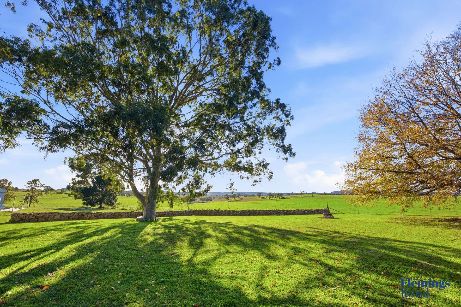 393 Battery Road, Mount Collins For Sale by Farmbuy.com - image 11