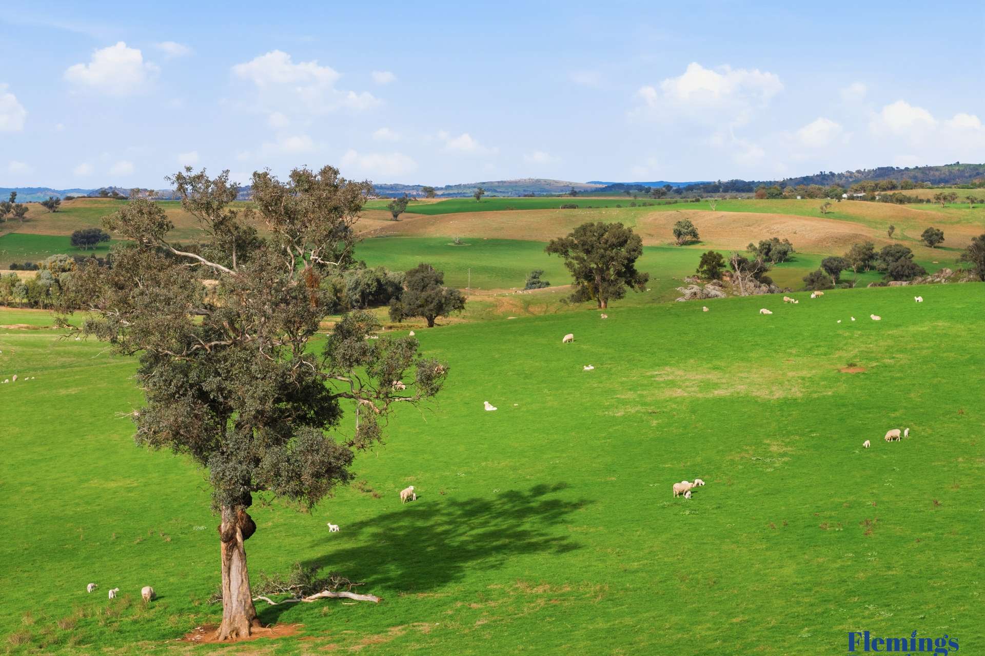 393 Battery Road, Mount Collins For Sale by Farmbuy.com - image 7