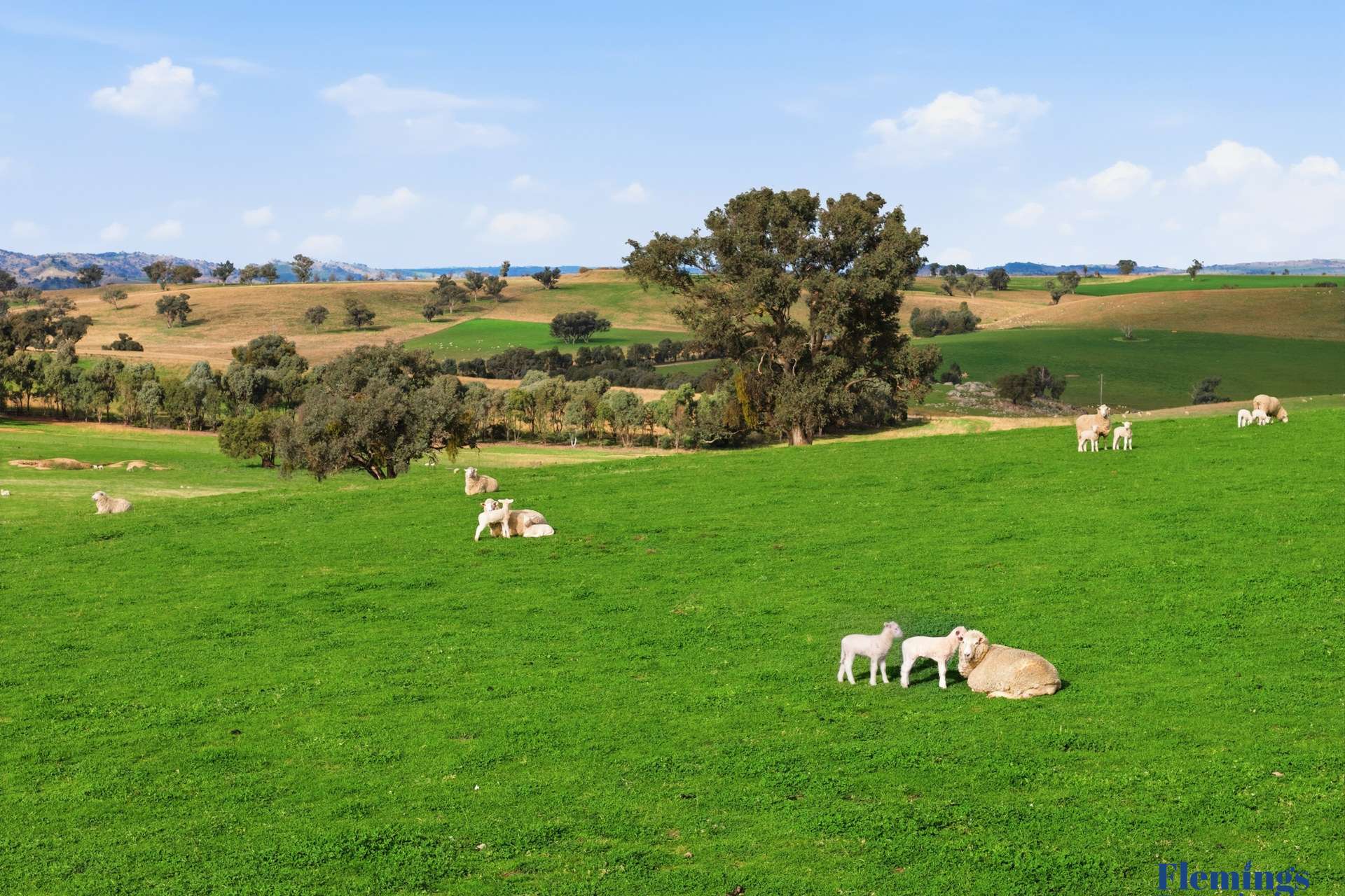 393 Battery Road, Mount Collins For Sale by Farmbuy.com - image 8