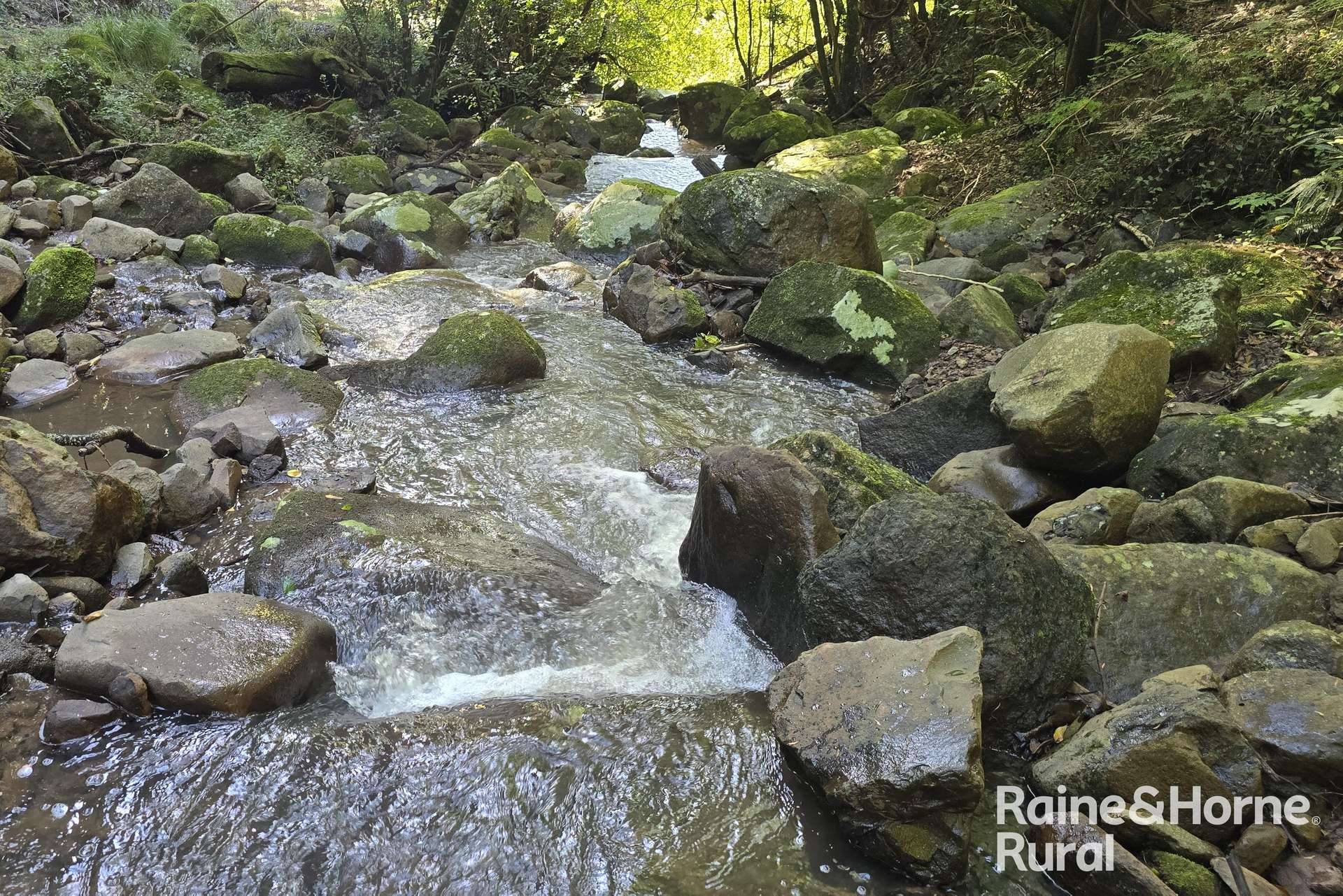 1087 Wattamolla Road, Kangaroo Valley For Sale by Farmbuy.com - image 14