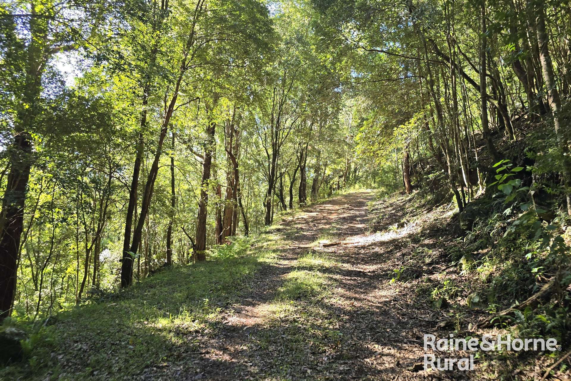 1087 Wattamolla Road, Kangaroo Valley For Sale by Farmbuy.com - image 8