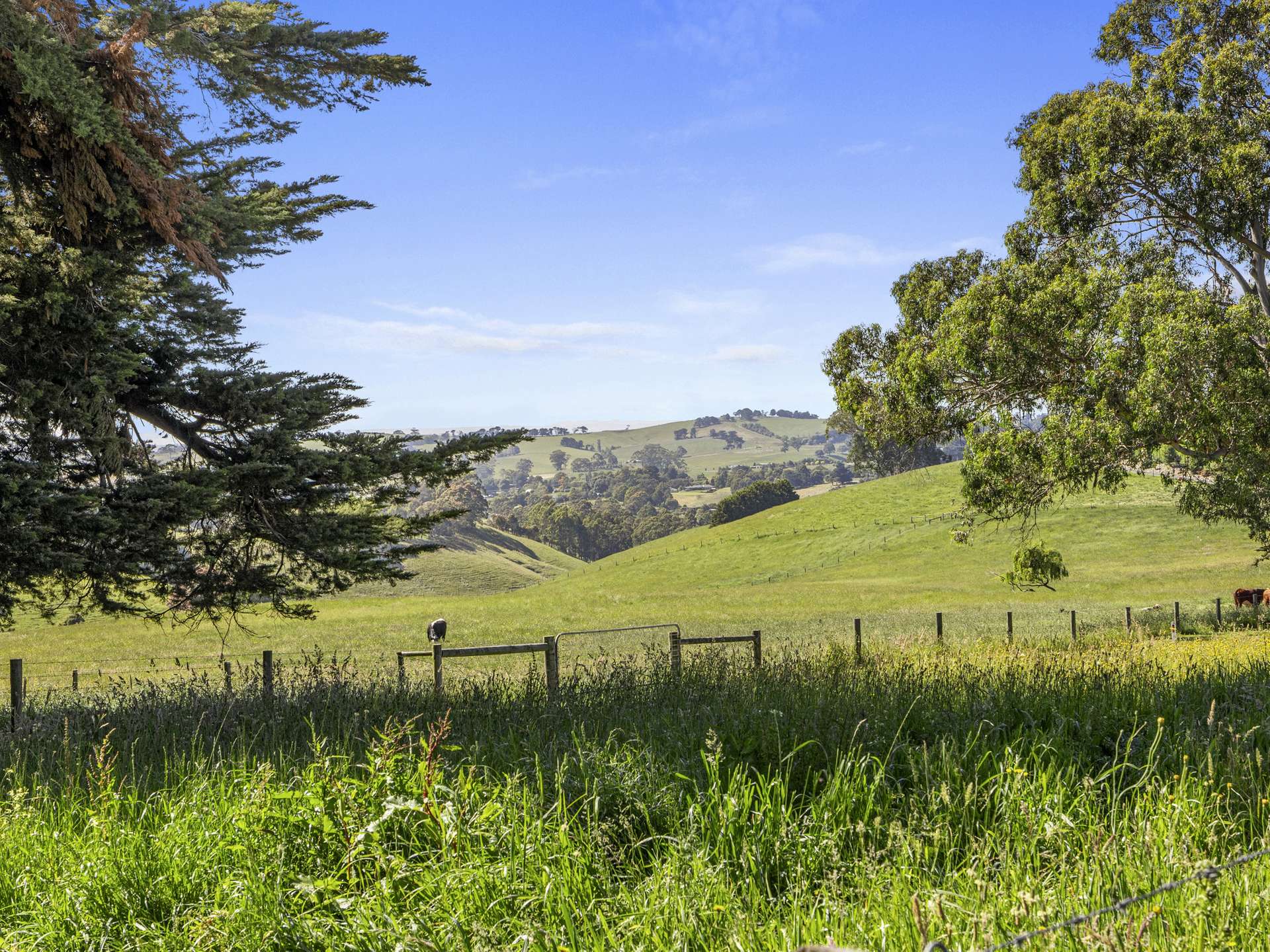 15 Stedmans Road, Korumburra For Sale by Farmbuy.com - image 16