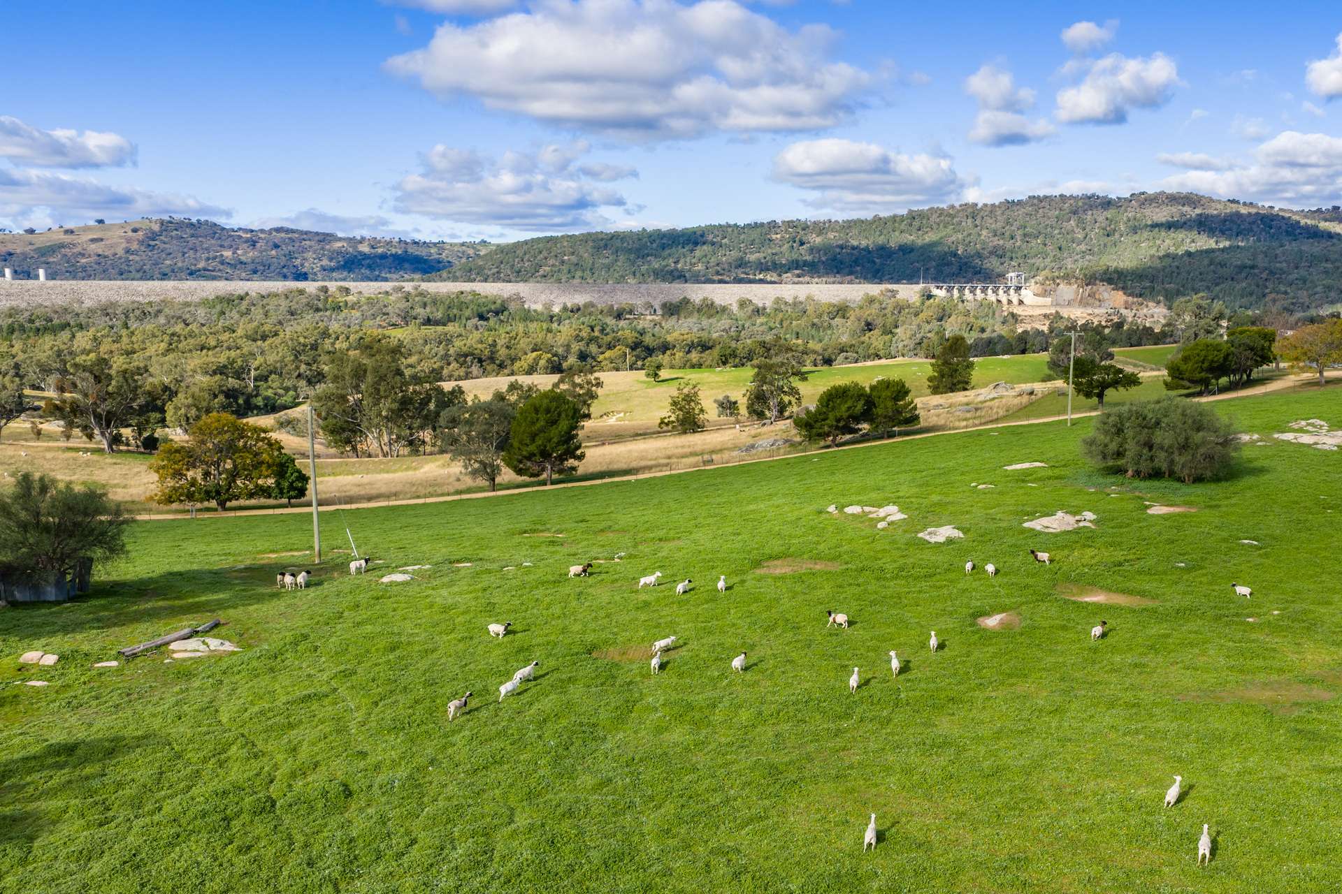 185 Trout Farm Road, Wyangala Auction by Farmbuy.com - image 5