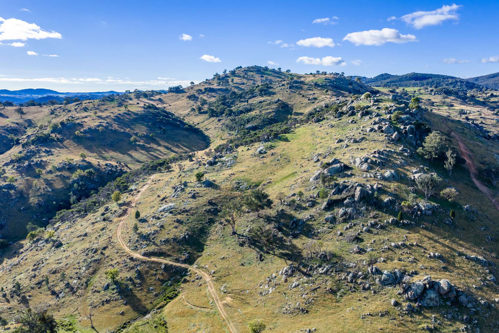 185 Trout Farm Road, Wyangala Auction by Farmbuy.com - image 7