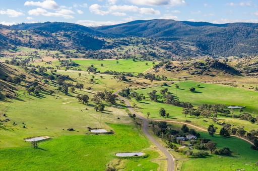 Farm Auction - NSW - Wyangala - 2808 - 1,141ACRE* GRAZING OPERATION WITH EXCEPTIONAL WATER VIEWS OVER WYANGALA WATERS! 