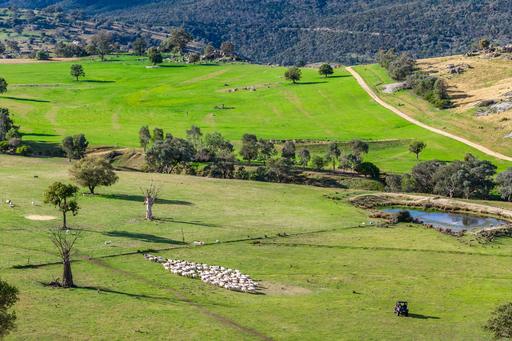 185 Trout Farm Road, Wyangala NSW 2808