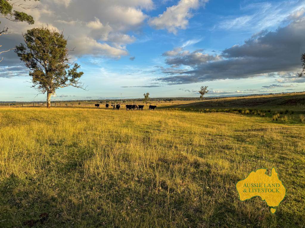 Lot 2, . Bridget Carroll Road, Kingaroy Auction by Farmbuy.com - image 21