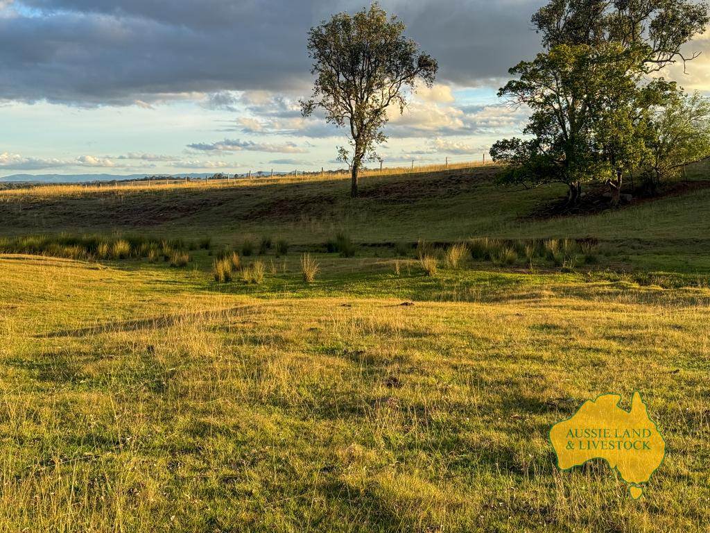 Lot 2, . Bridget Carroll Road, Kingaroy Auction by Farmbuy.com - image 22