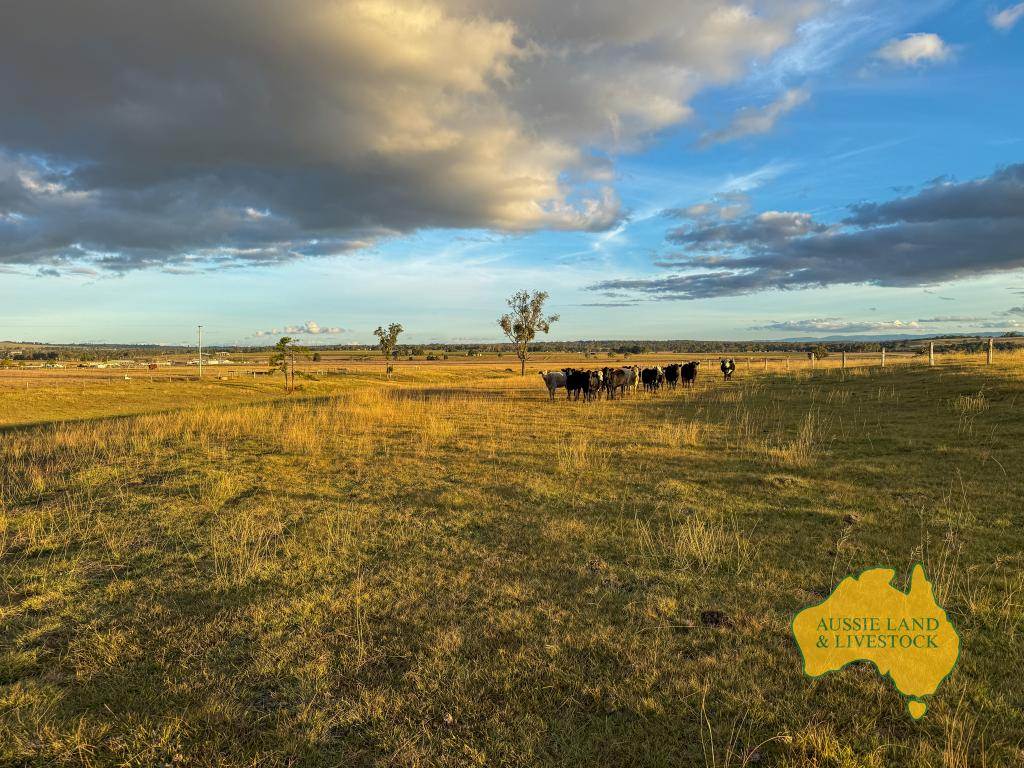 Lot 2, . Bridget Carroll Road, Kingaroy Auction by Farmbuy.com - image 9