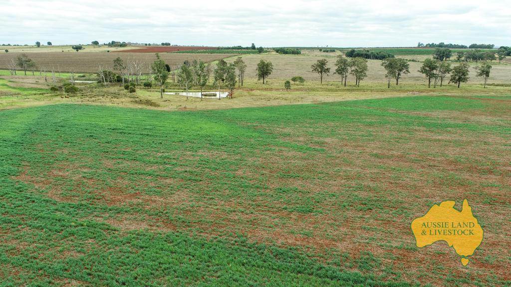 369 BENAIR ROAD, Benair For Sale by Farmbuy.com - image 11