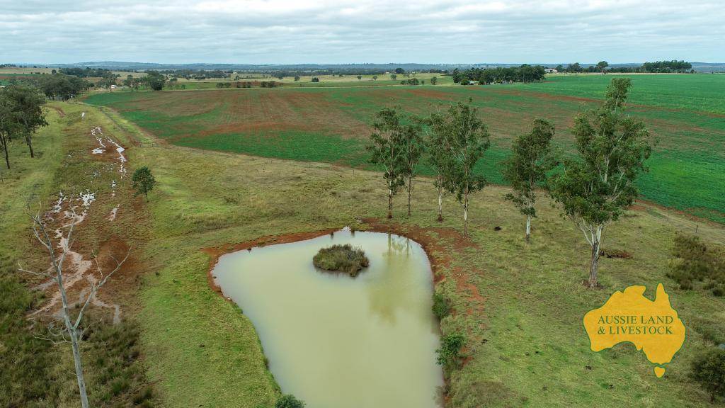 369 BENAIR ROAD, Benair For Sale by Farmbuy.com - image 9