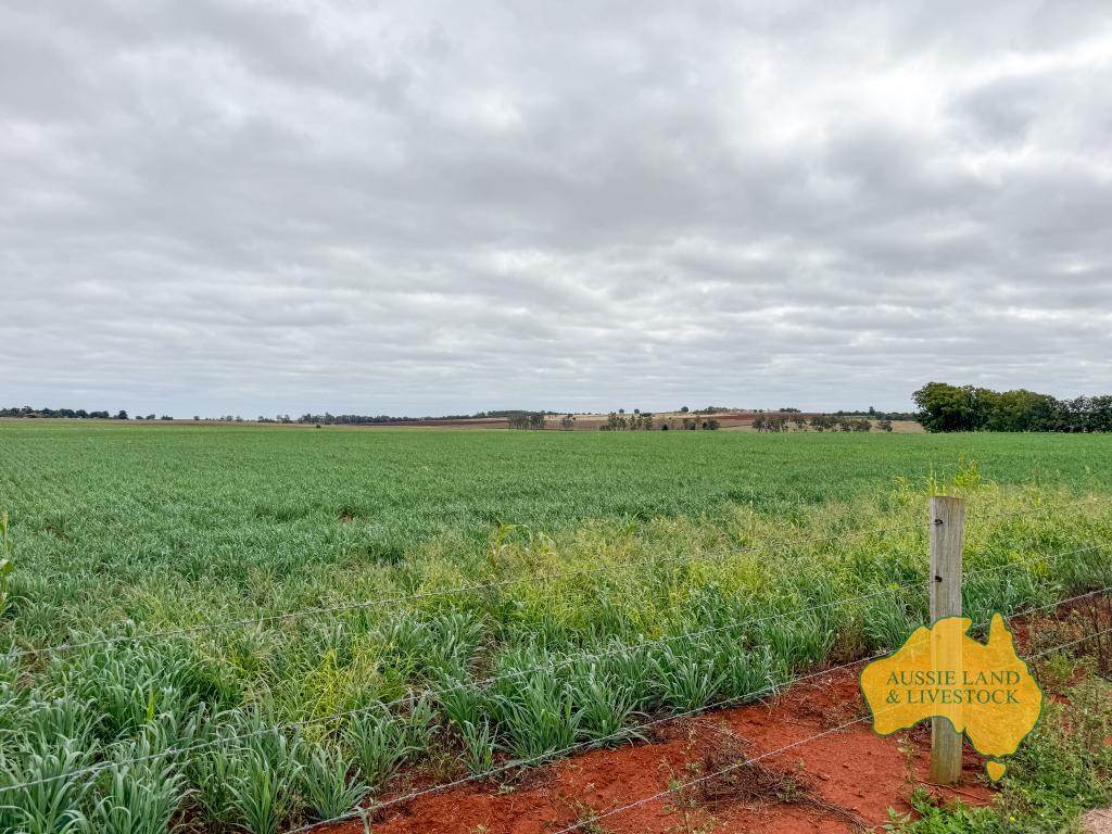 369 BENAIR ROAD, Benair For Sale by Farmbuy.com - image 12