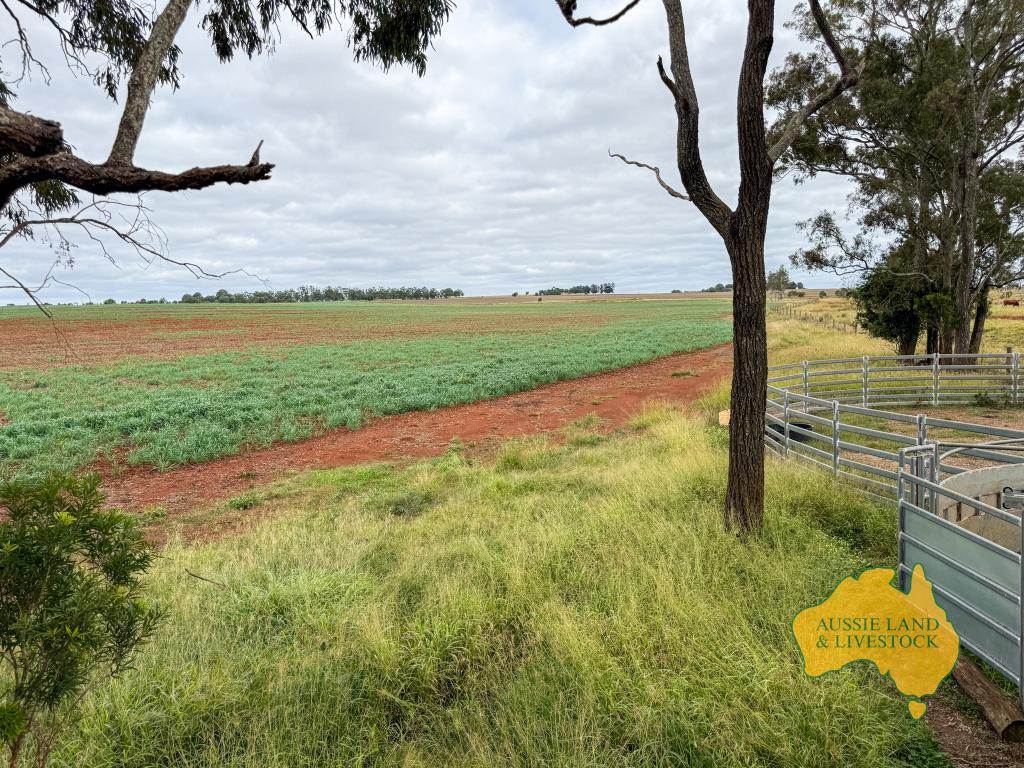 369 BENAIR ROAD, Benair For Sale by Farmbuy.com - image 33