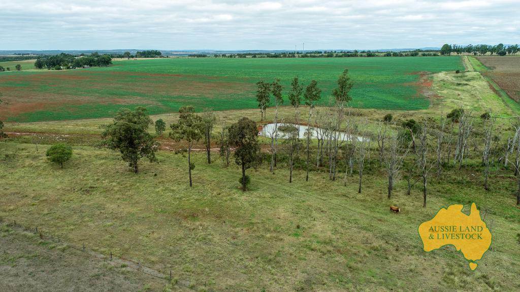 369 BENAIR ROAD, Benair For Sale by Farmbuy.com - image 32