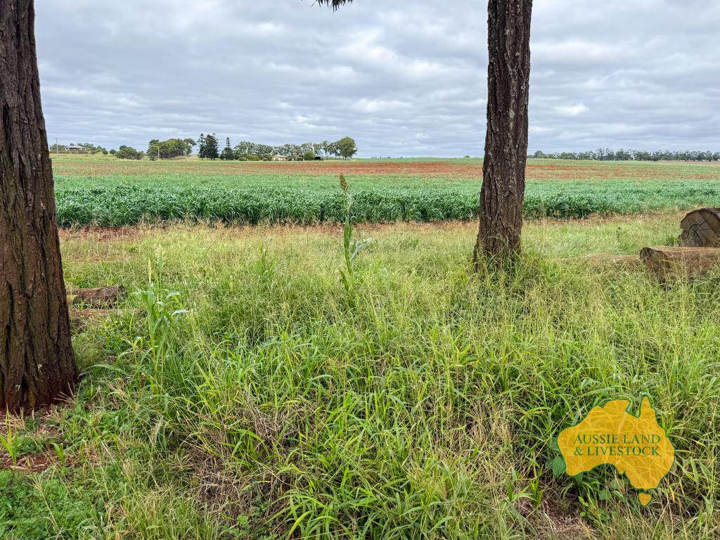 369 BENAIR ROAD, Benair For Sale by Farmbuy.com - image 35