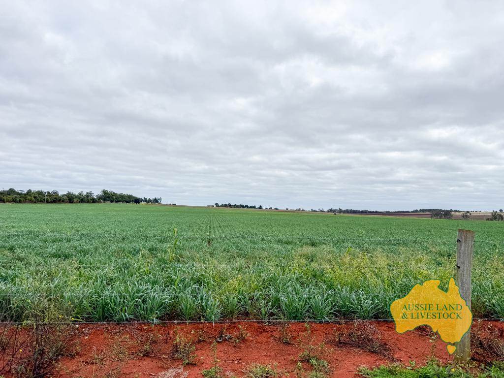 369 BENAIR ROAD, Benair For Sale by Farmbuy.com - image 5