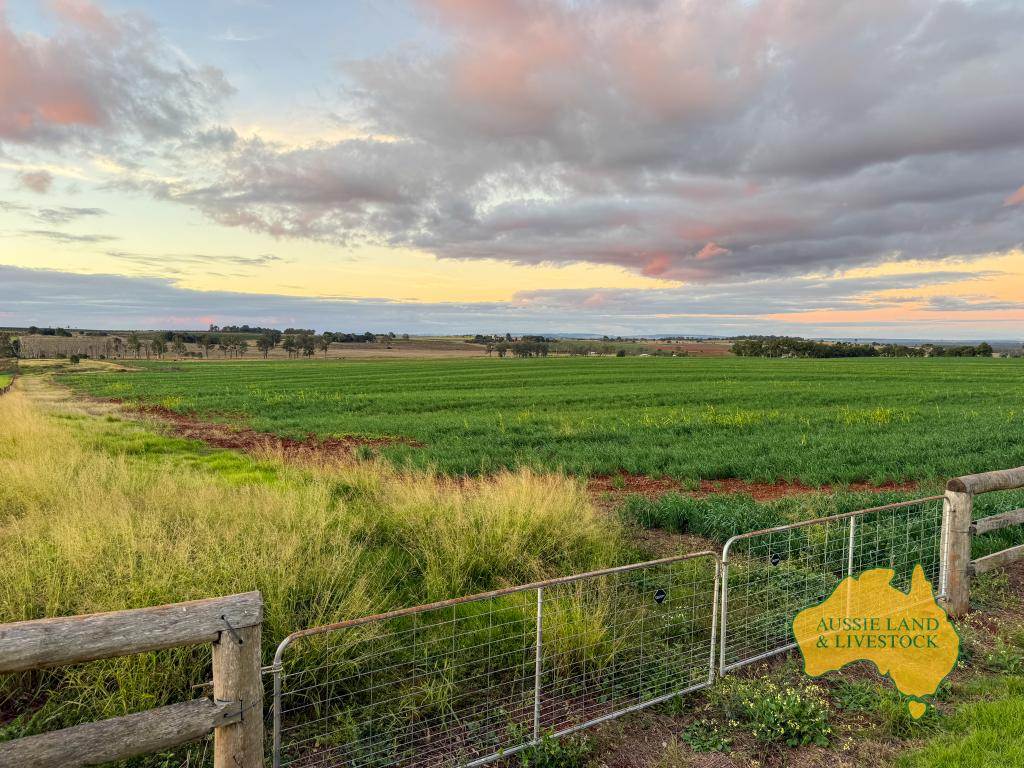 369 BENAIR ROAD, Benair For Sale by Farmbuy.com - image 15