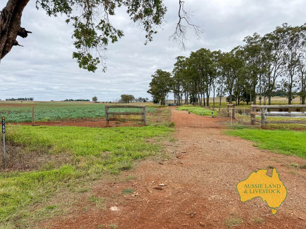 369 BENAIR ROAD, Benair For Sale by Farmbuy.com - image 6