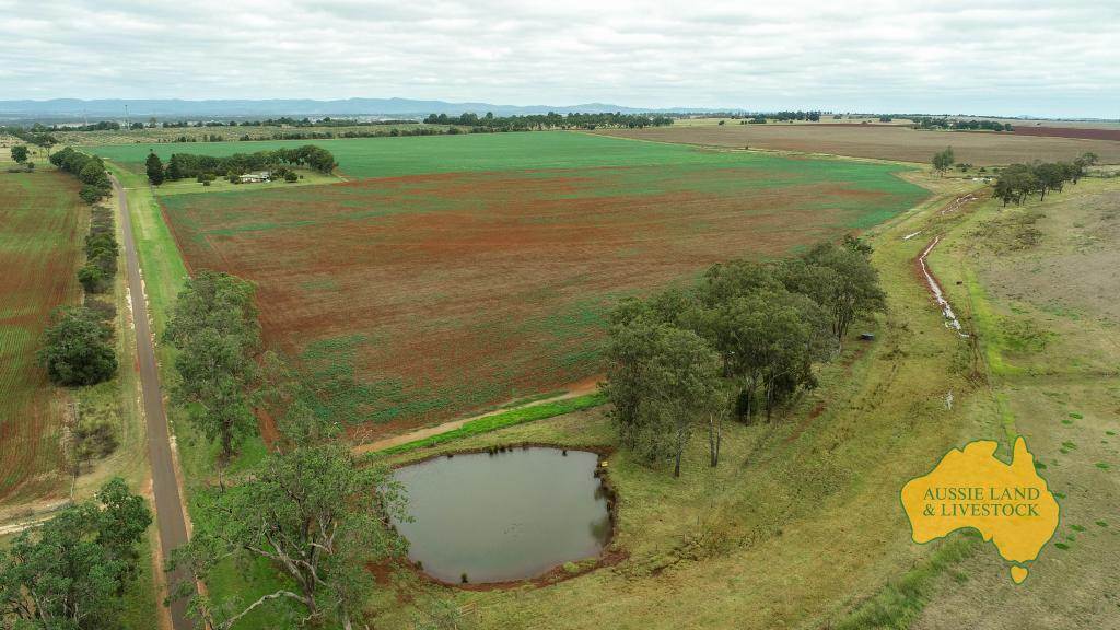 369 BENAIR ROAD, Benair For Sale by Farmbuy.com - image 21