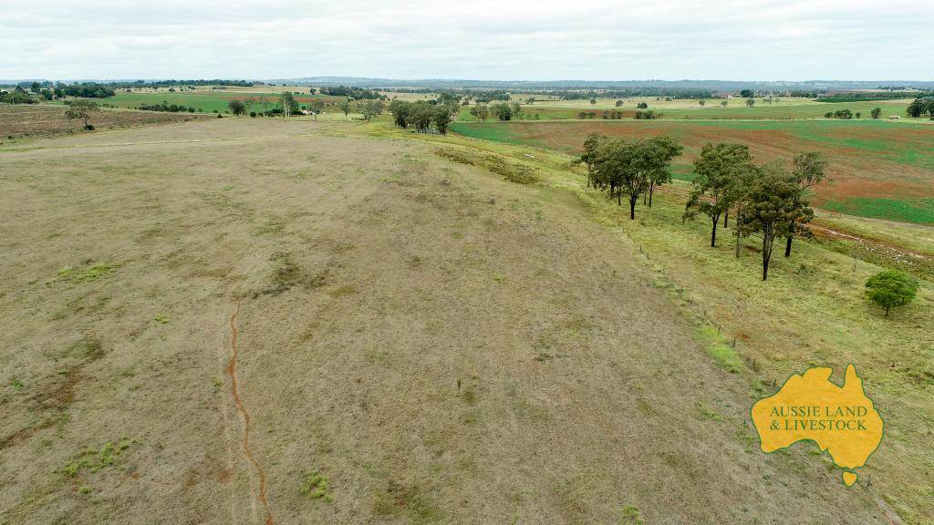 369 BENAIR ROAD, Benair For Sale by Farmbuy.com - image 23