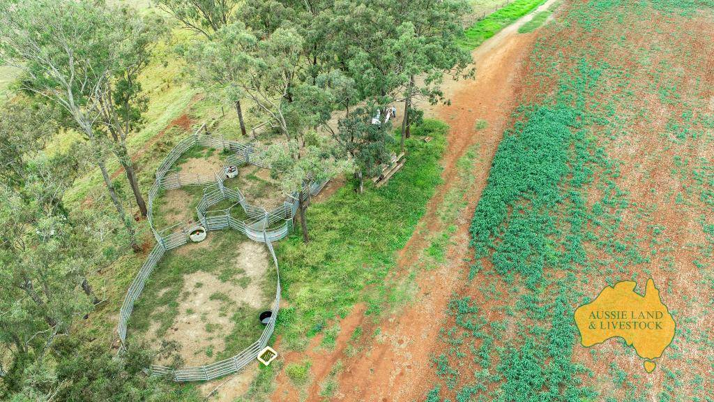 369 BENAIR ROAD, Benair For Sale by Farmbuy.com - image 28