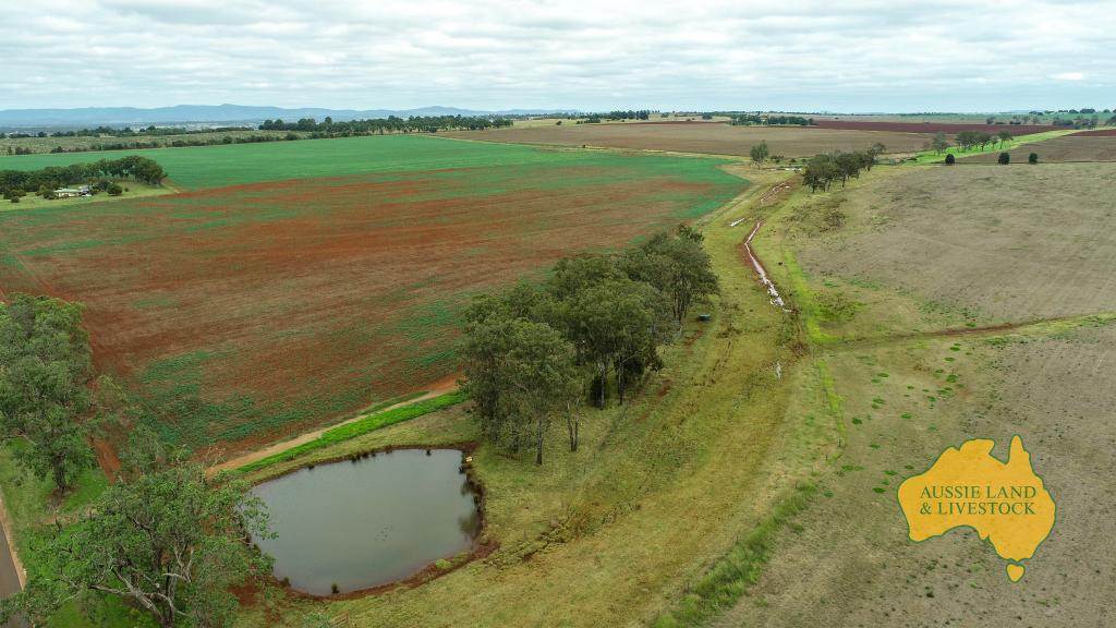 369 BENAIR ROAD, Benair For Sale by Farmbuy.com - image 22