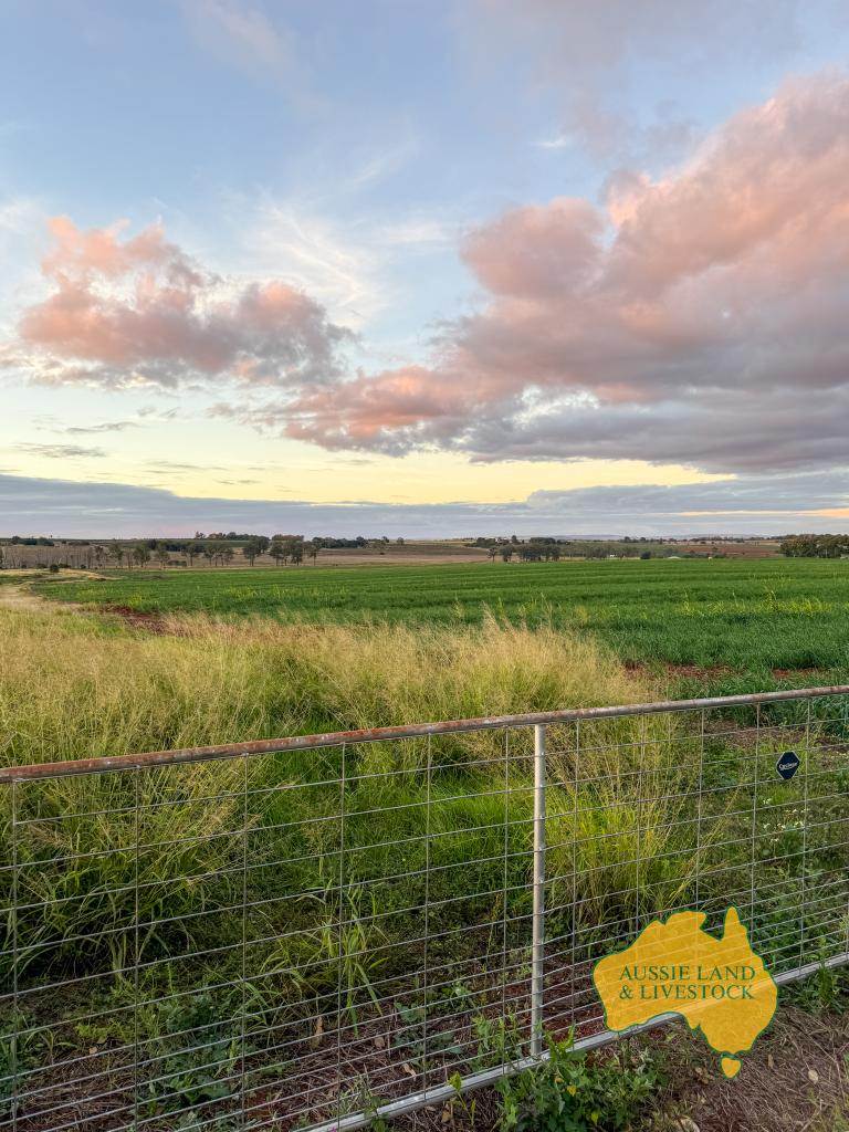369 BENAIR ROAD, Benair For Sale by Farmbuy.com - image 34