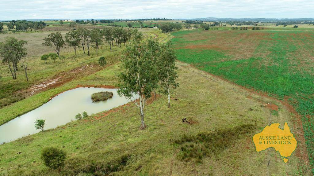 369 BENAIR ROAD, Benair For Sale by Farmbuy.com - image 8