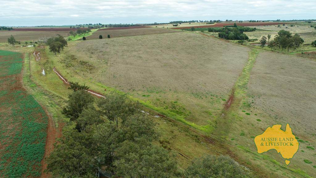 369 BENAIR ROAD, Benair For Sale by Farmbuy.com - image 27
