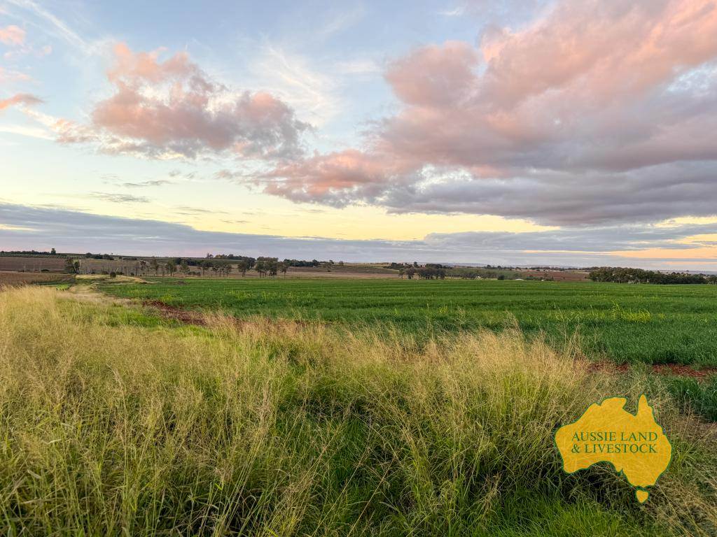 369 BENAIR ROAD, Benair For Sale by Farmbuy.com - image 7