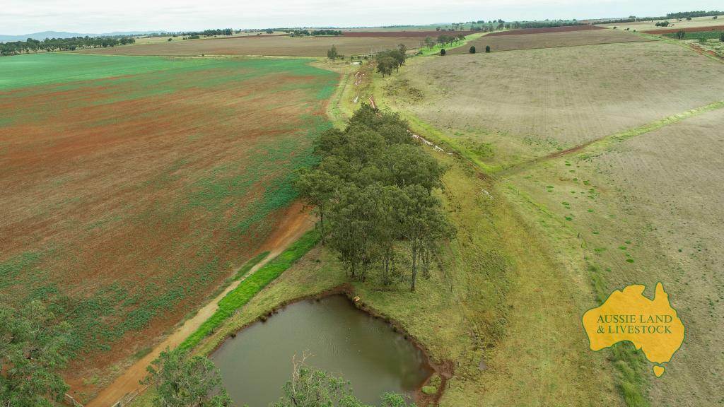 369 BENAIR ROAD, Benair For Sale by Farmbuy.com - image 17