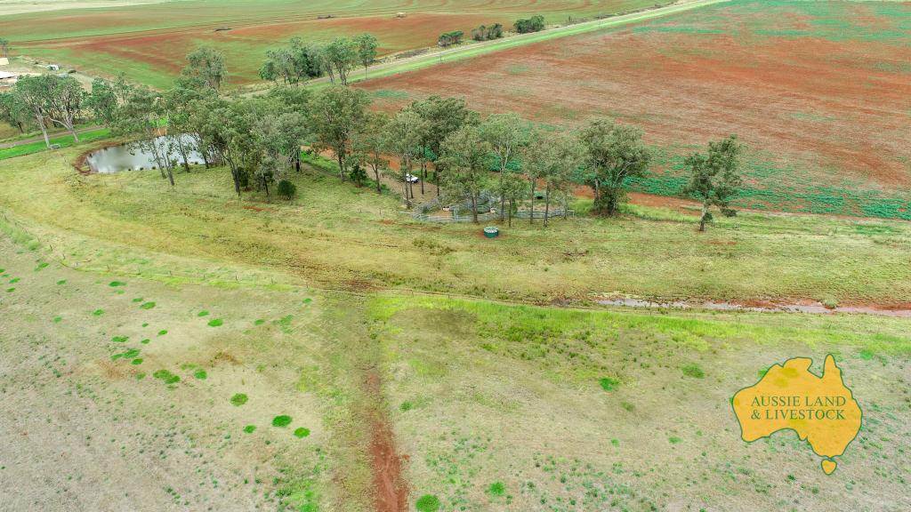 369 BENAIR ROAD, Benair For Sale by Farmbuy.com - image 16