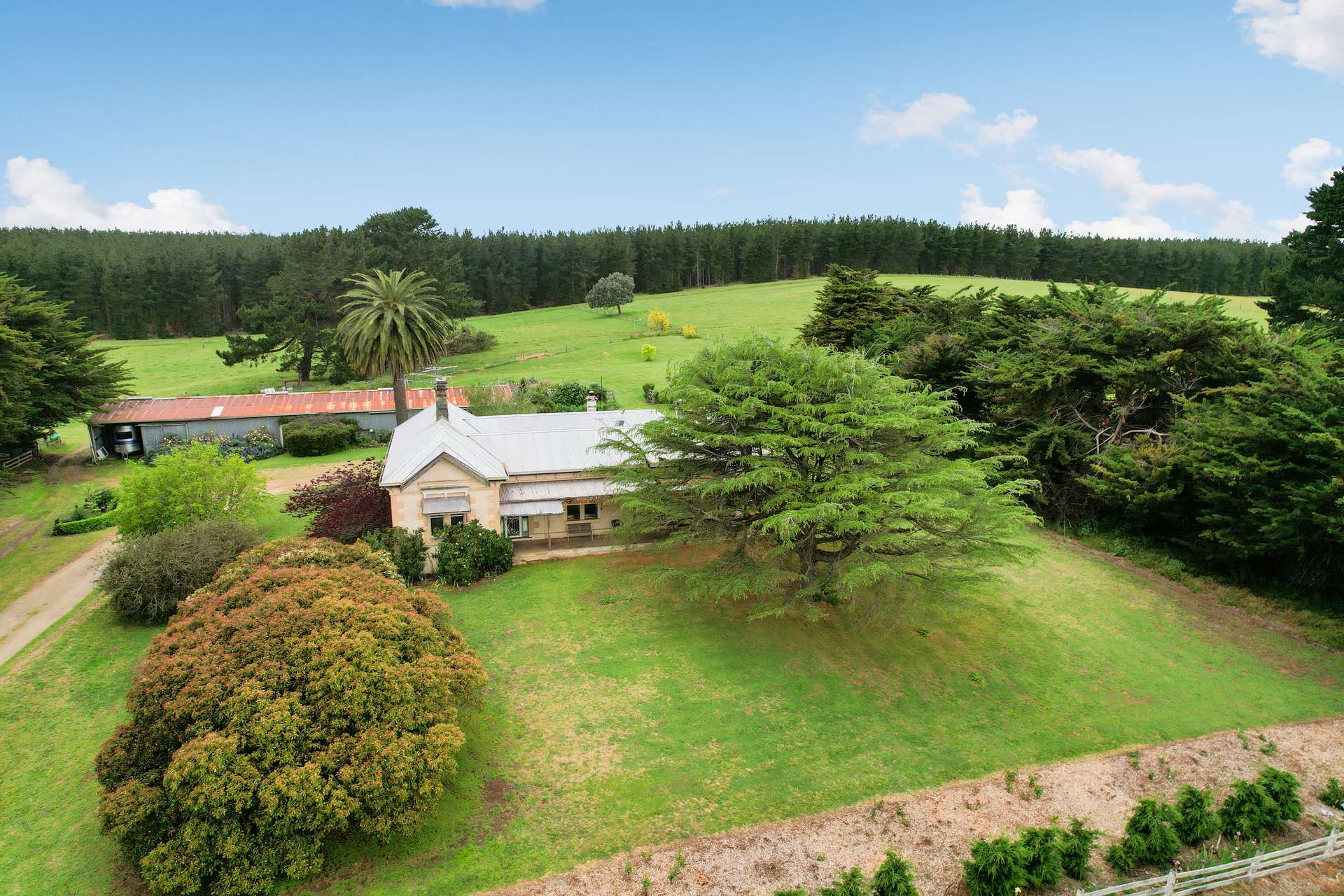355 Caroline Headquarters Road, Yahl Auction by Farmbuy.com - image 3