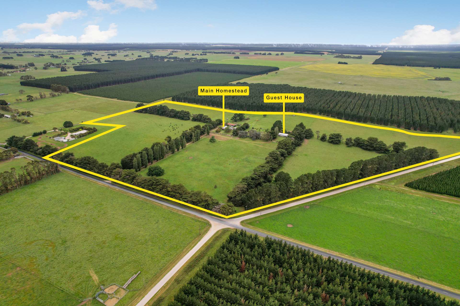 355 Caroline Headquarters Road, Yahl Auction by Farmbuy.com - image 26