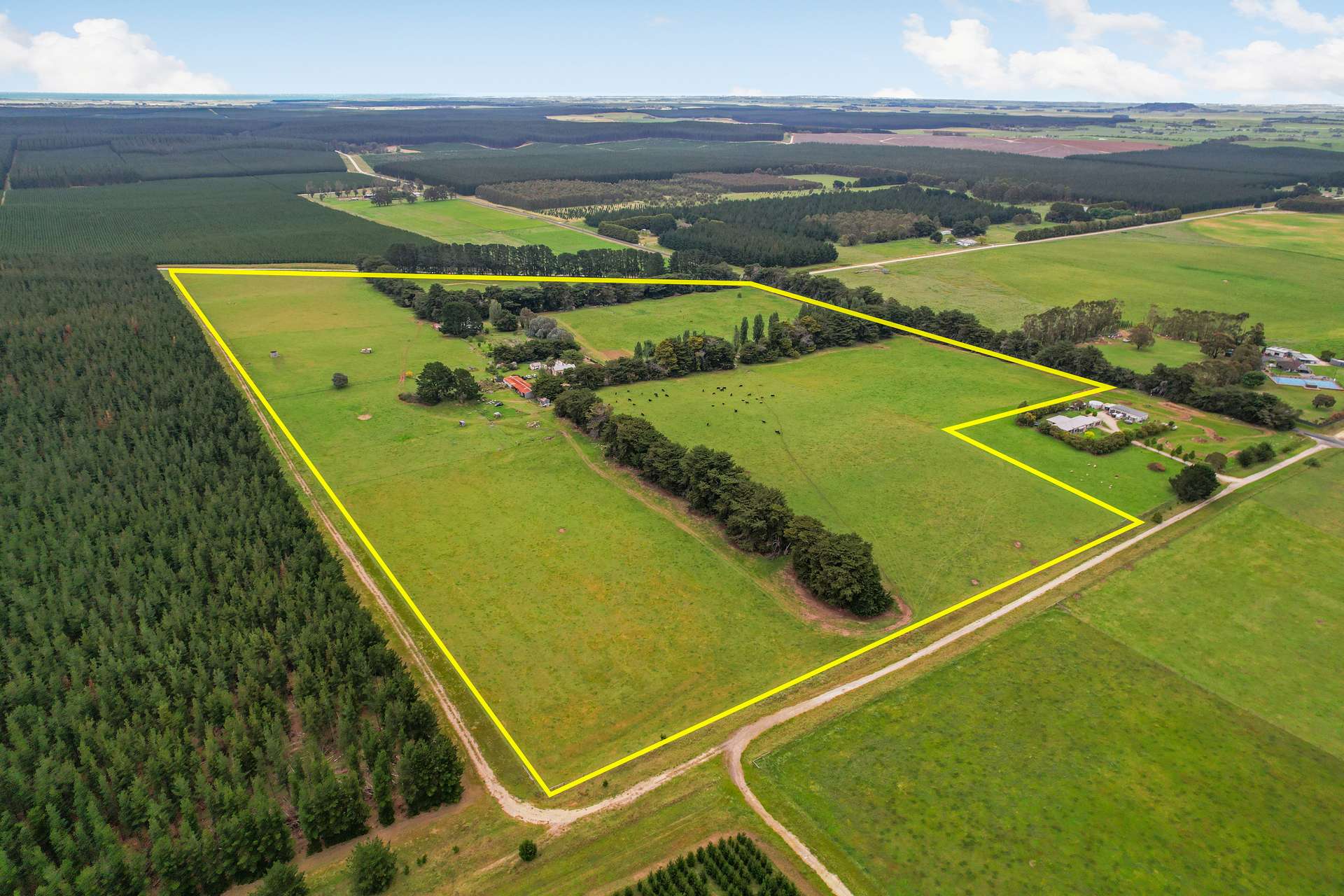 355 Caroline Headquarters Road, Yahl Auction by Farmbuy.com - image 2