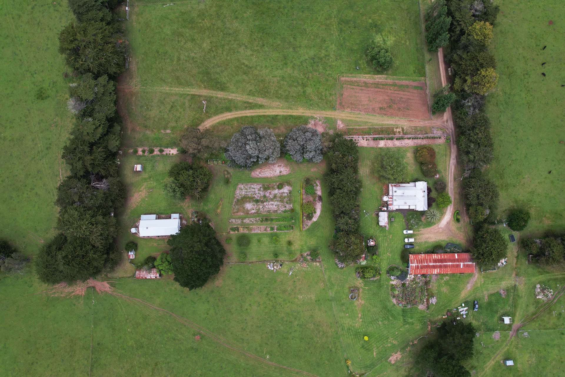 355 Caroline Headquarters Road, Yahl Auction by Farmbuy.com - image 23